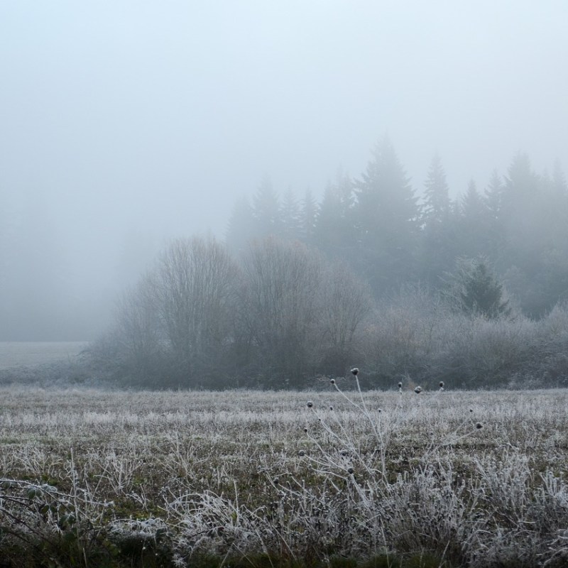 From Fallow Period to a path forward: Journaling for&nbsp;clarity