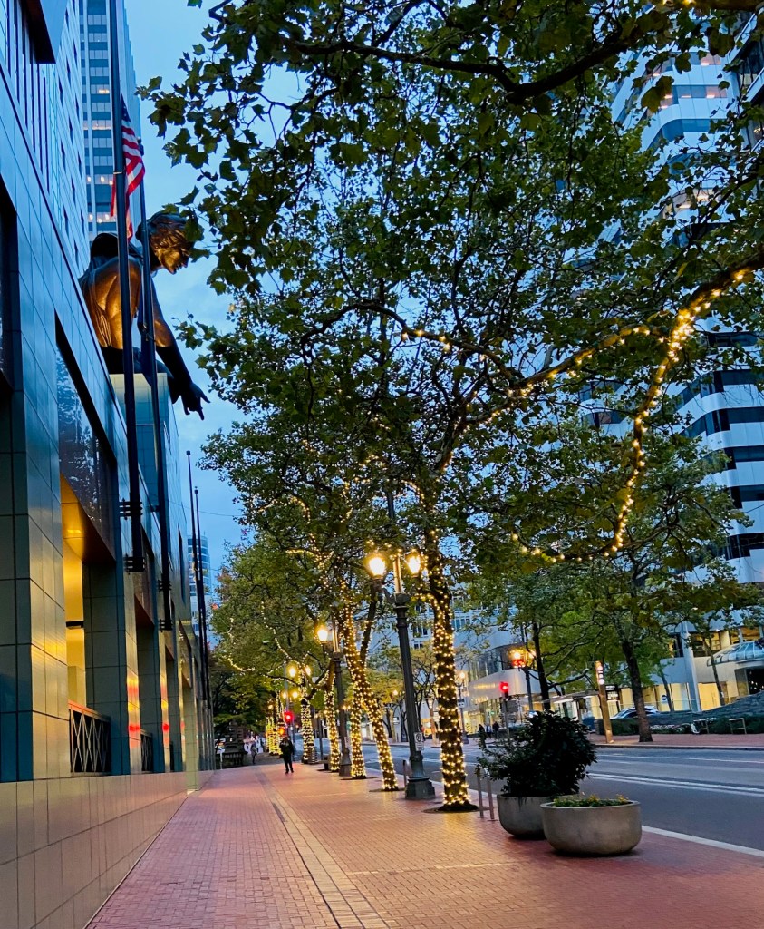Downtown city sidewalk with trees wrapped in white lights